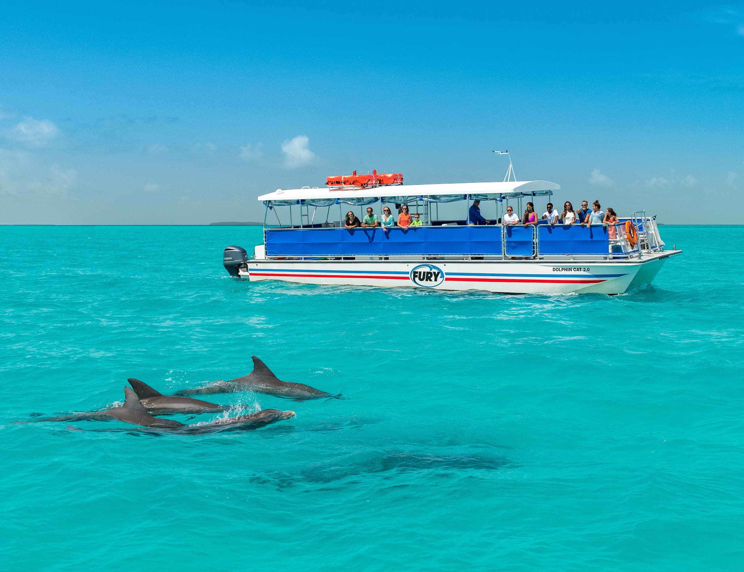 A dolphin excursion boat with guests looking at dolphins in the water
