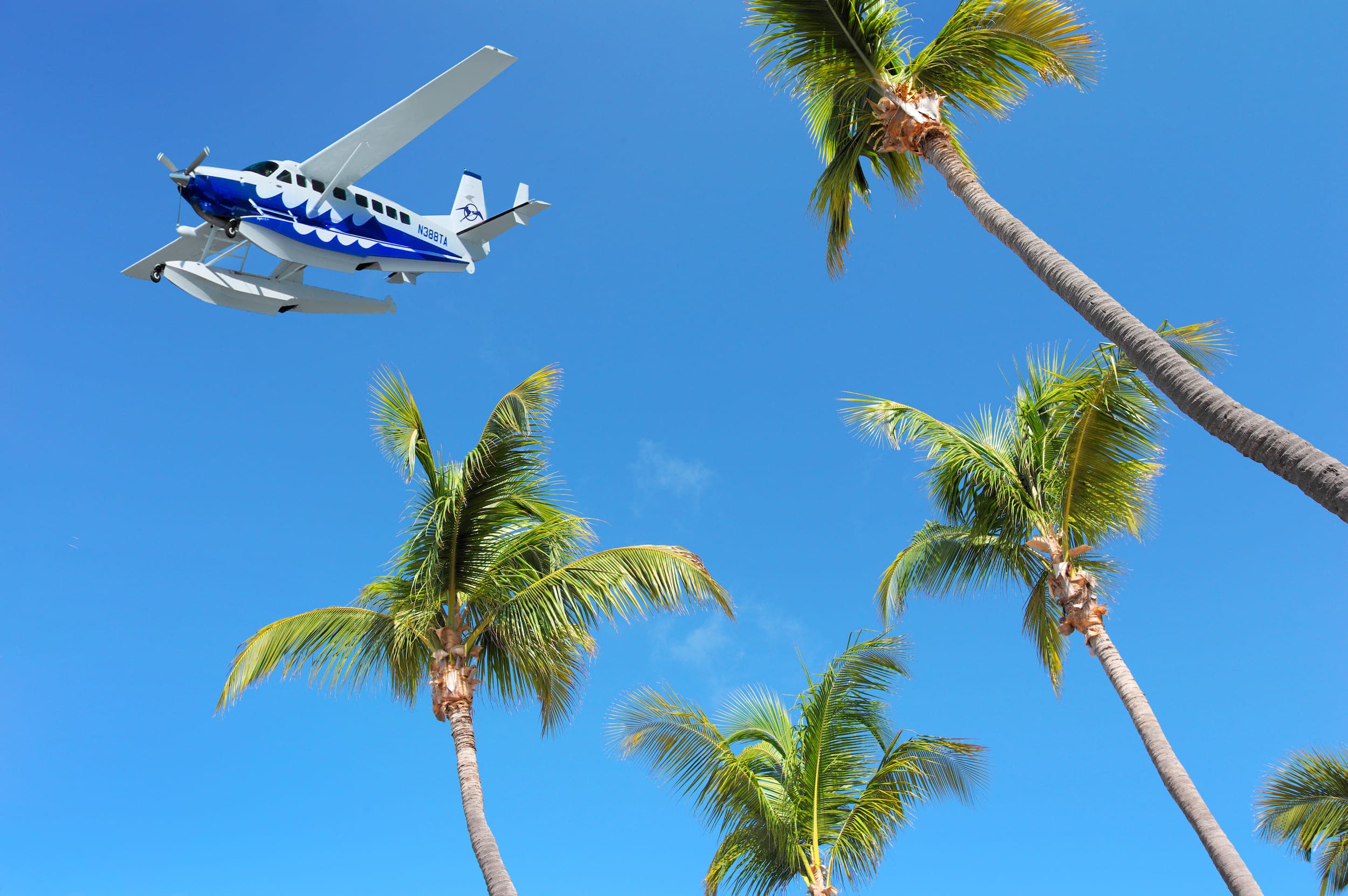 A seaplane flying over 4 palm trees