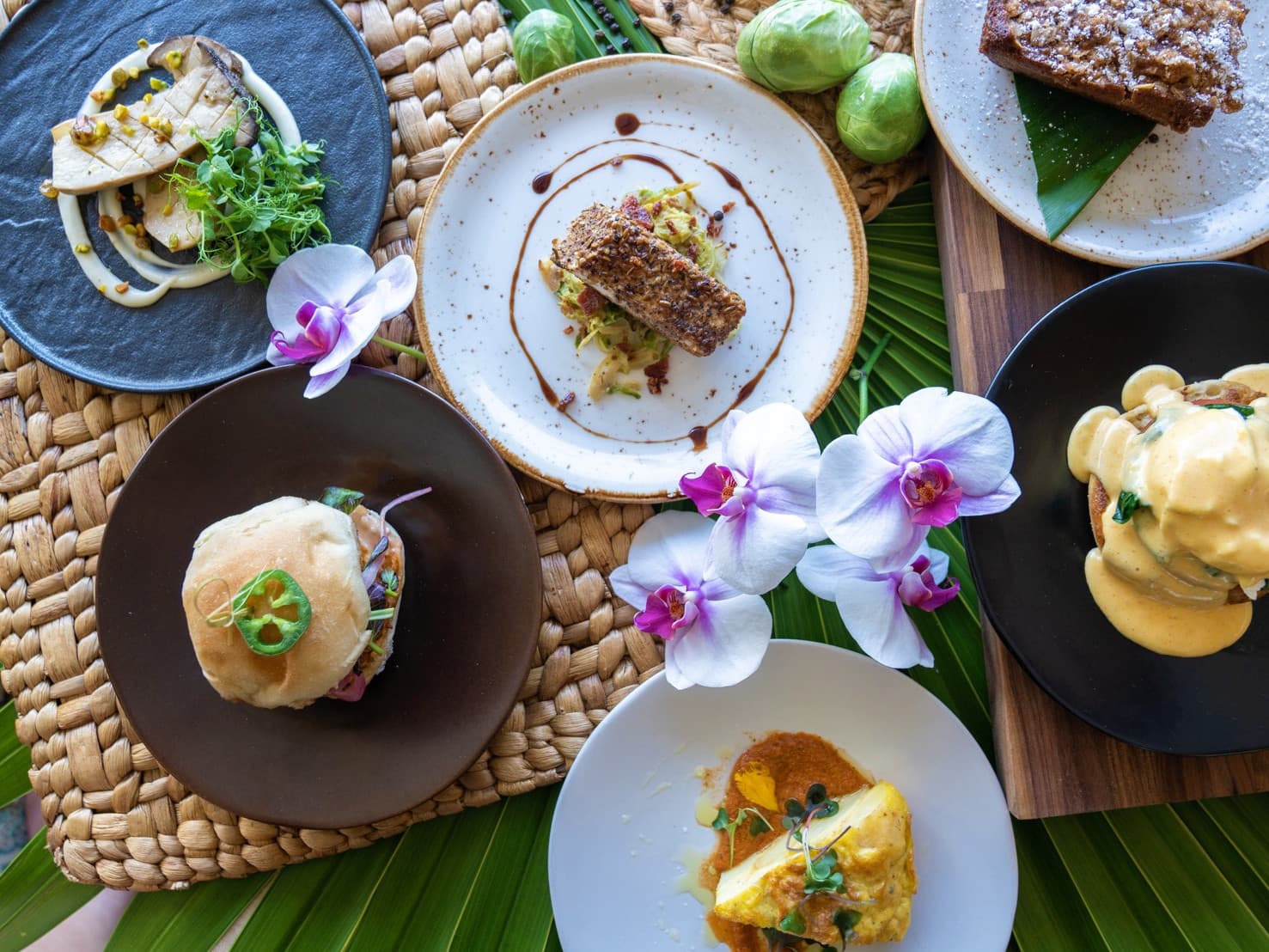 Overhead brunch spread with eggs Benedict and orchids at Ocean Key Resort, Key West, Florida