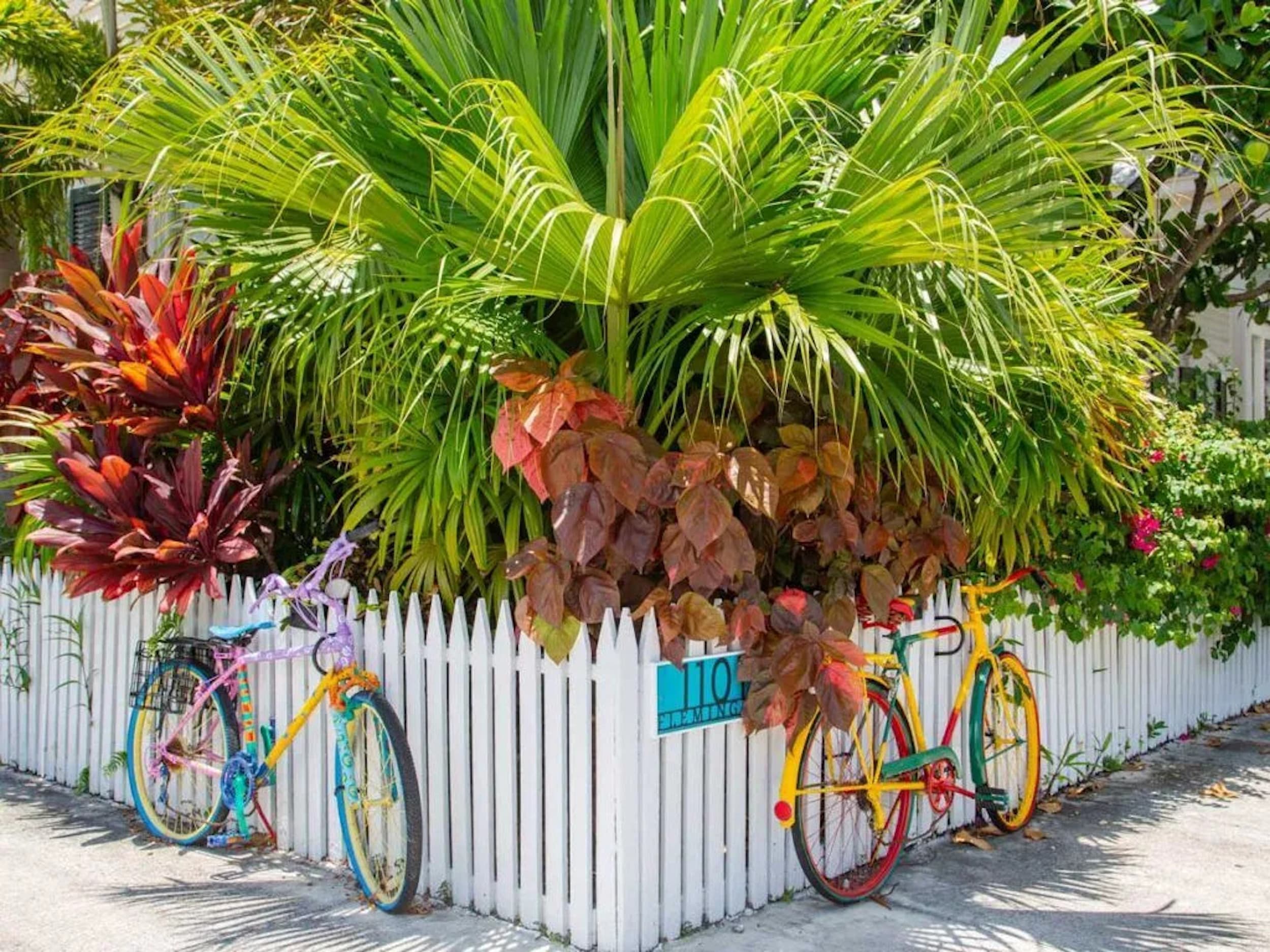 Two bikes leaning against a fence