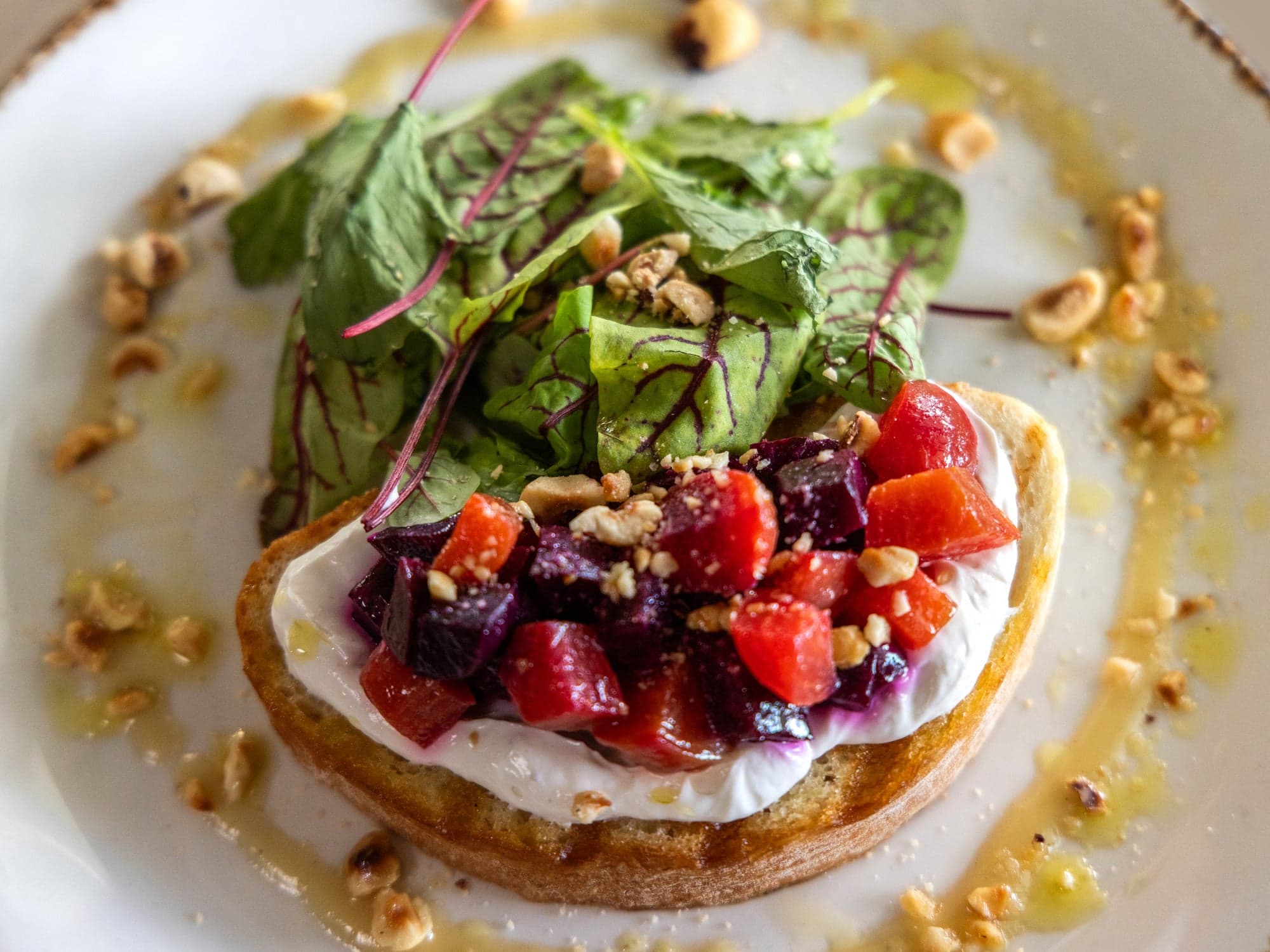 Roasted red and golden beet toast with whipped ricotta, toasted hazelnuts, and microgreens at Hot Tin Roof Key West