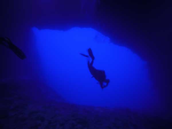Alexander's Wreck in the Florida Keys