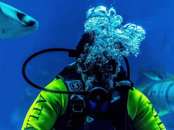 Scuba diving in Key West, FL