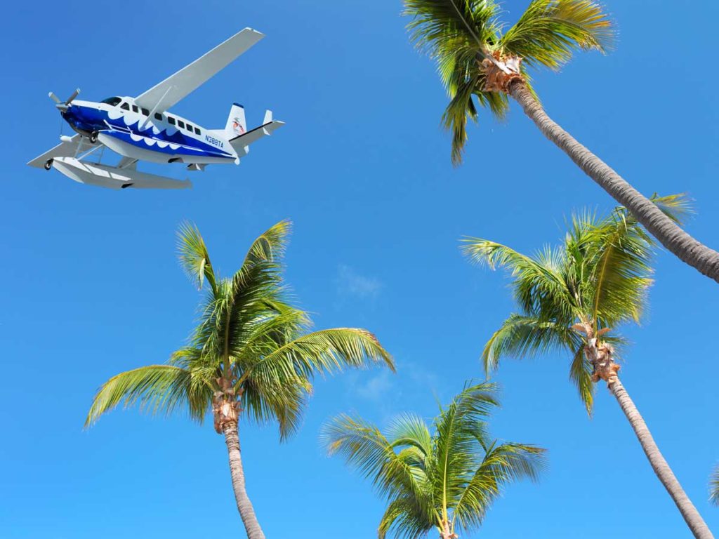 Plane and Palm trees in Key West, FL