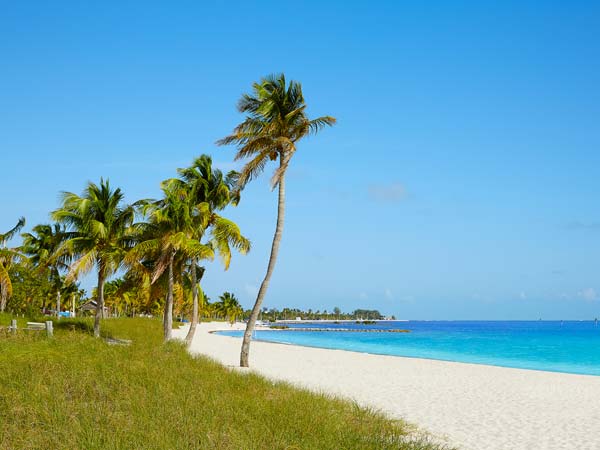 The beach, blue skies, and palm trees.