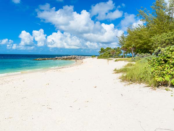 The beach in the sun.