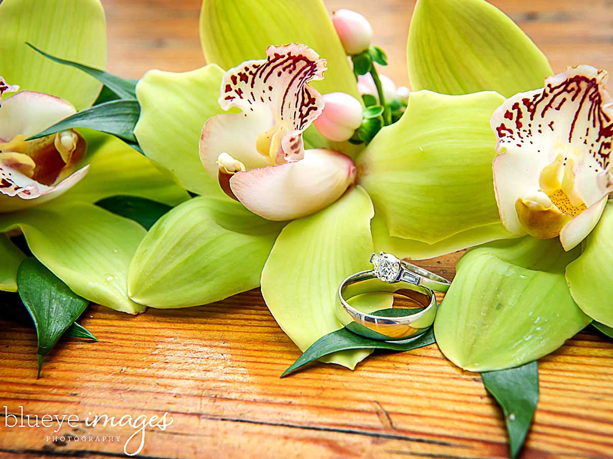 Plan a Wedding in Key West Ocean Key Resort & Spa