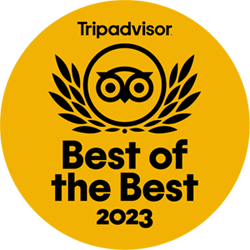 trip advisor logo